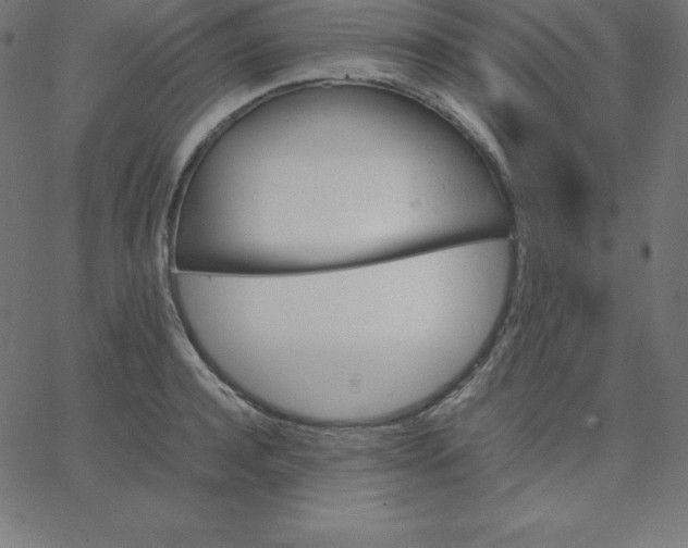 X0000067850944200604271641