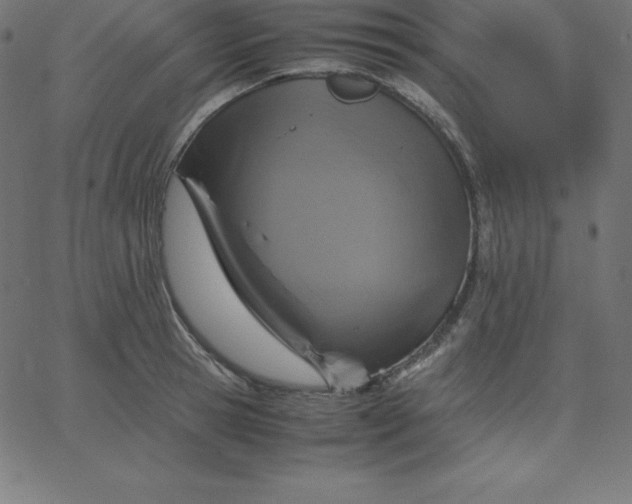 X0000067850945200604271641