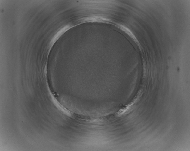 X0000067850946200604271641