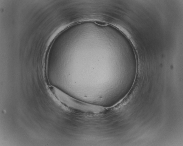 X0000067850949200604271641