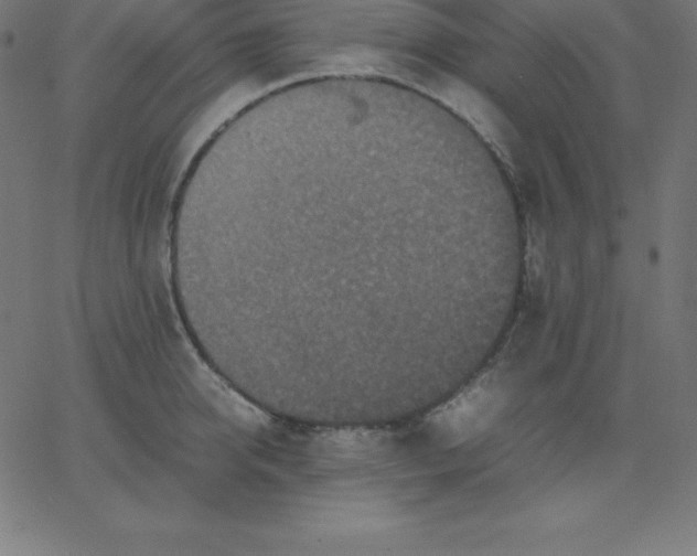 X0000067850950200604271641