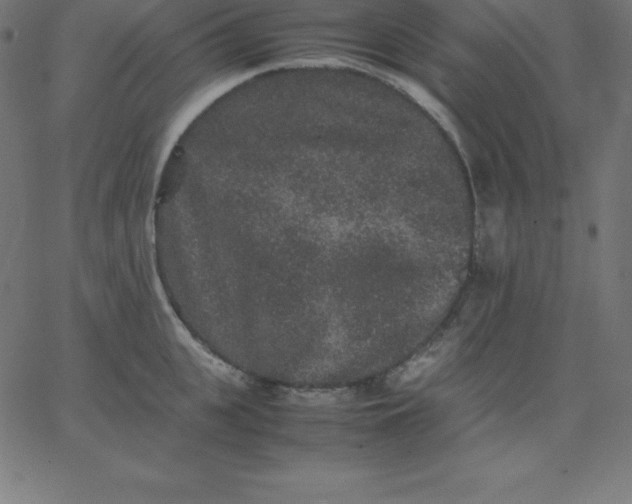 X0000067850951200604271642