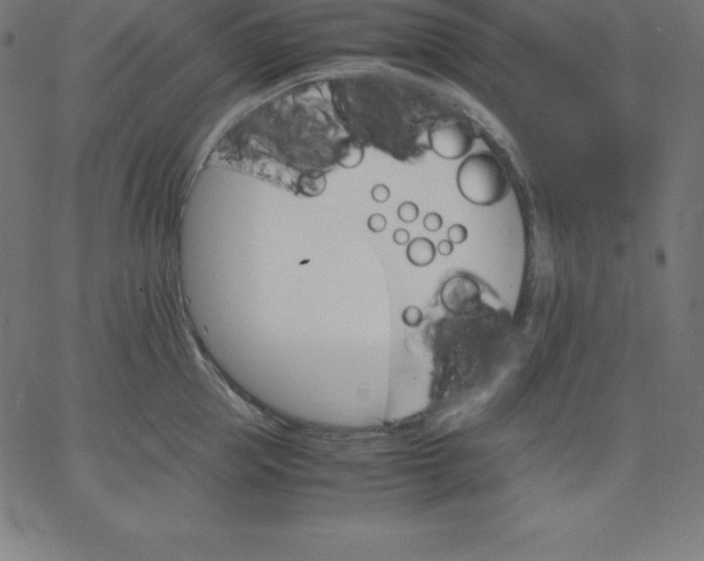 X0000067850953200604271642