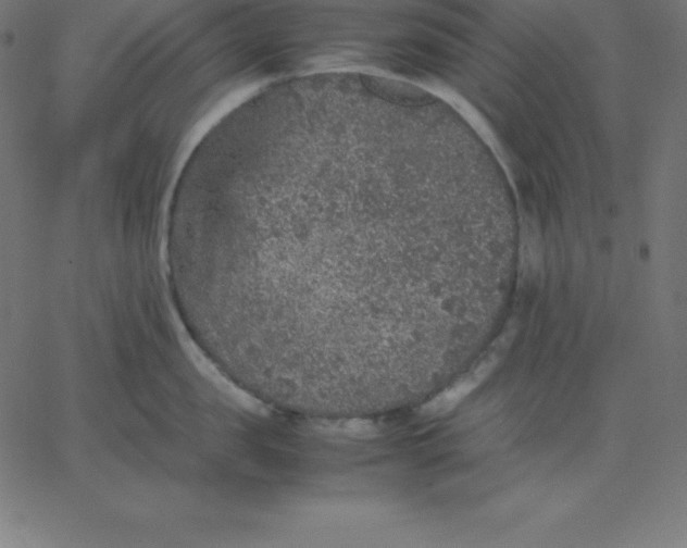 X0000067850957200604271642