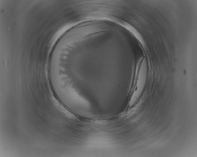 X0000067850958200604271642