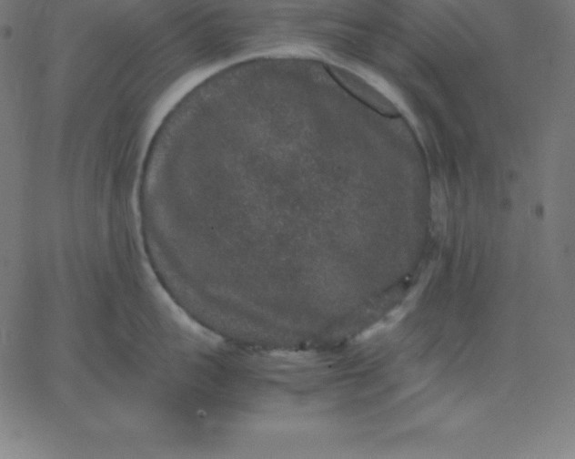 X0000067850959200604271642