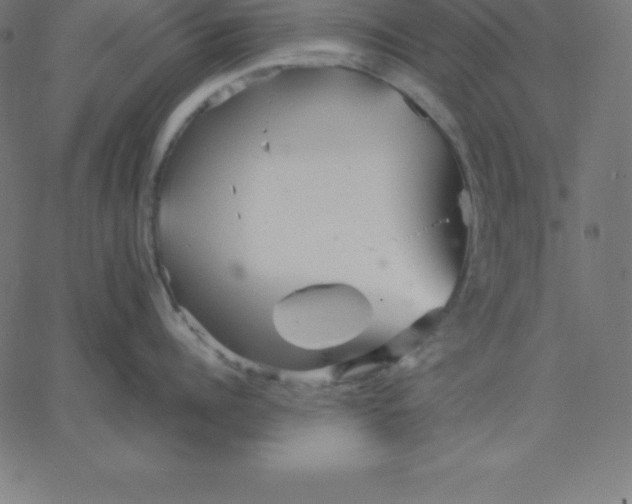 X0000067850960200604271642