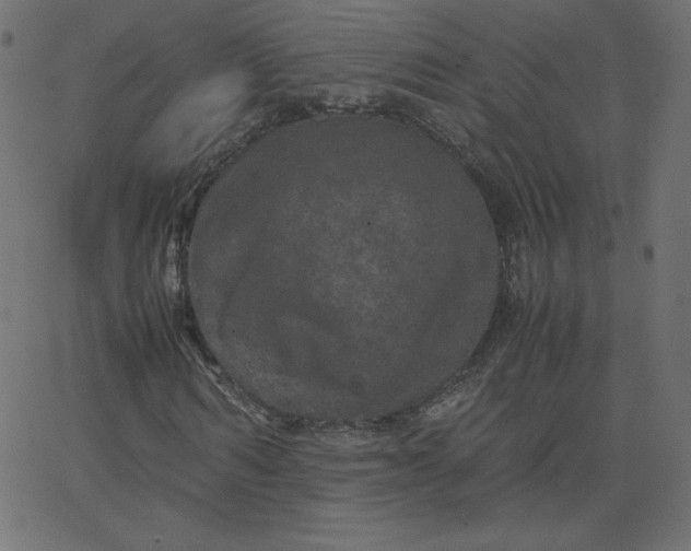 X0000067850962200604271641