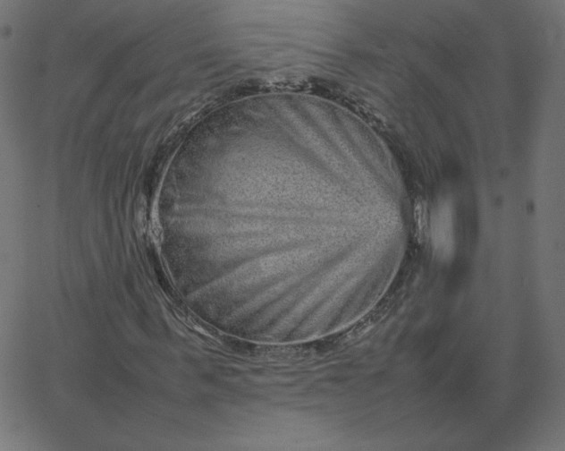 X0000067850963200604271641