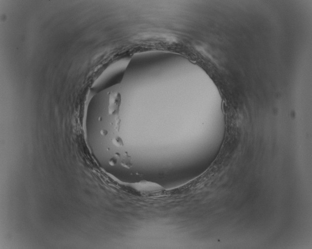 X0000067850965200604271641