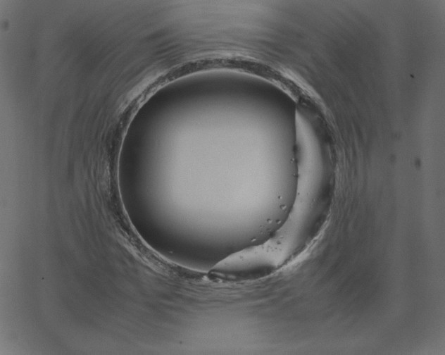 X0000067850969200604271641