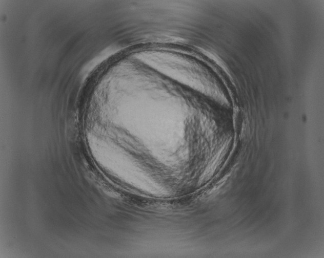 X0000067850971200604271641