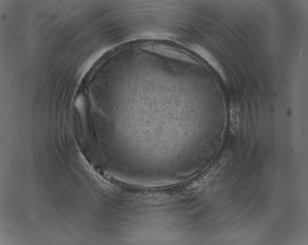 X0000067850972200604271641