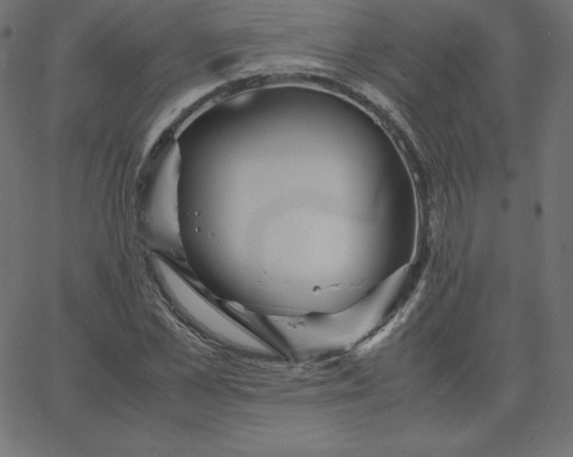 X0000067850973200604271641