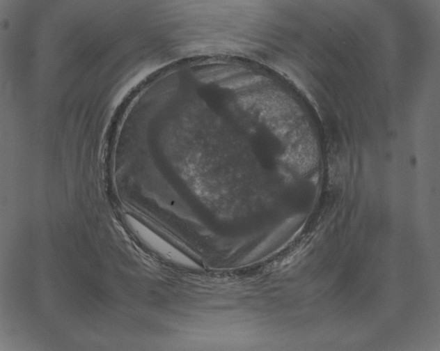 X0000067850975200604271641