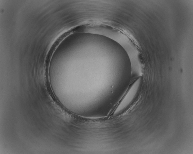 X0000067850976200604271641