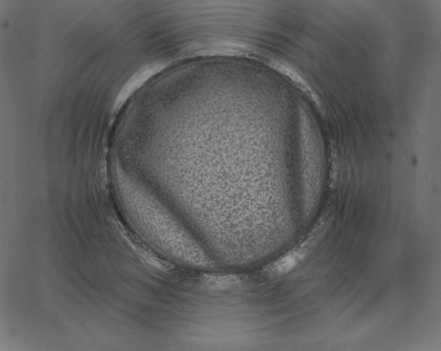 X0000067850978200604271641