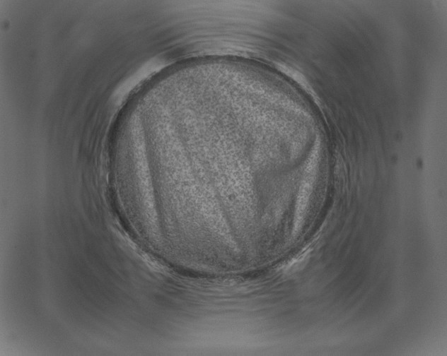 X0000067850979200604271641