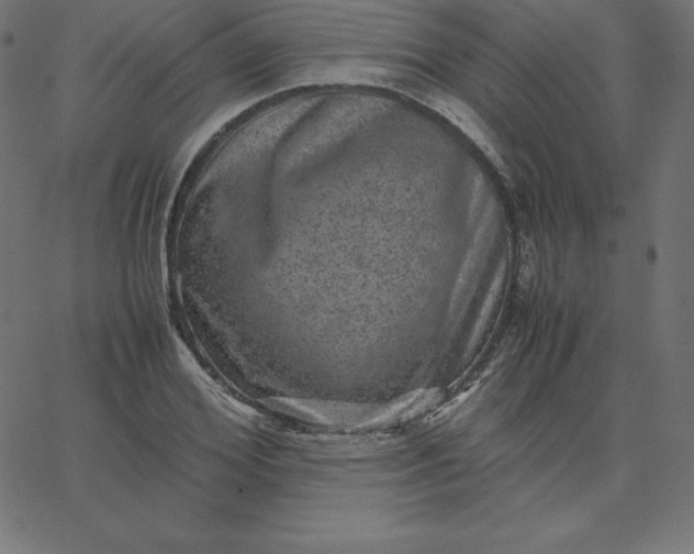 X0000067850980200604271641