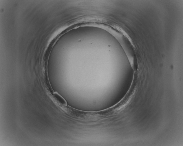 X0000067850981200604271641