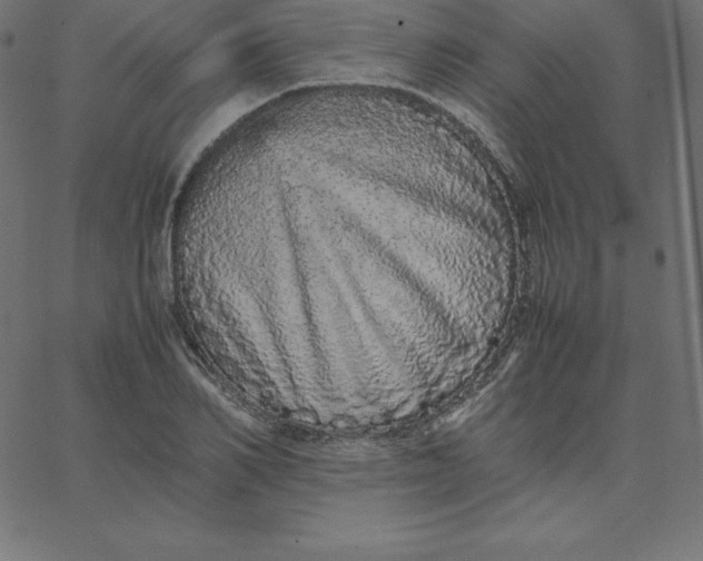 X0000067850982200604271641