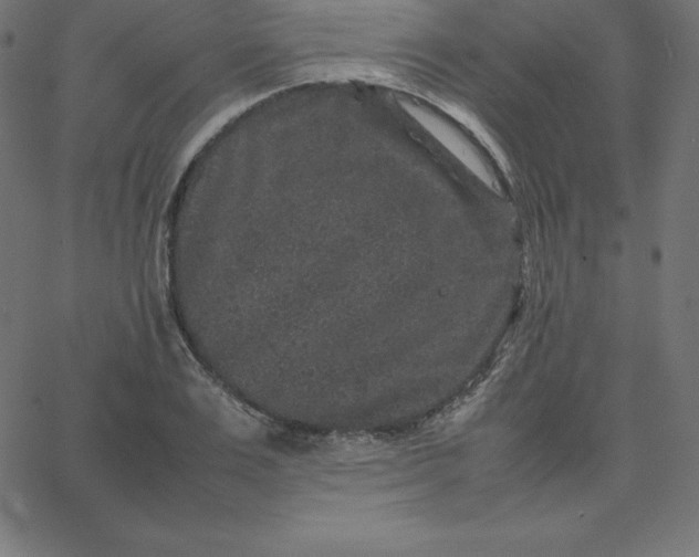 X0000067850983200604271641