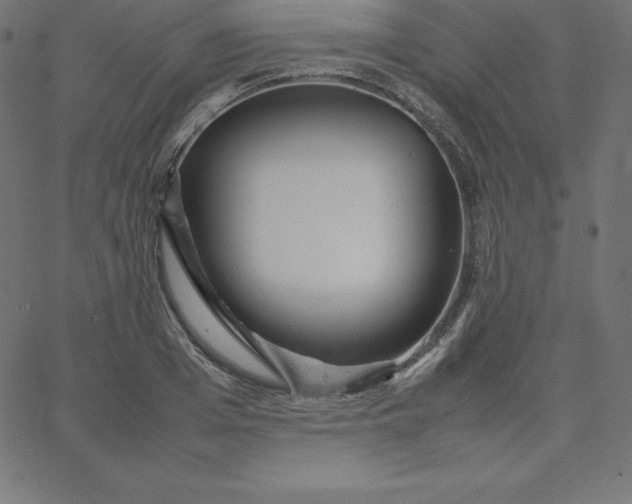 X0000067850985200604271640