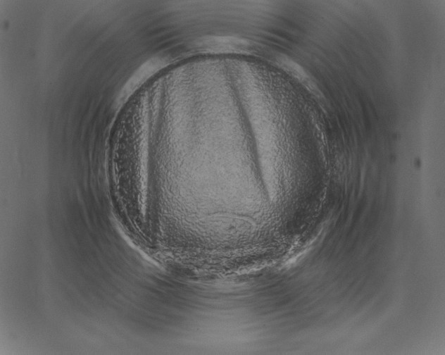 X0000067850986200604271640