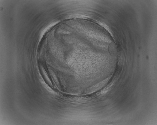 X0000067850987200604271640