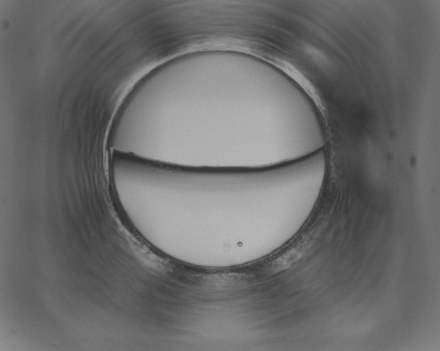 X0000067850988200604271640