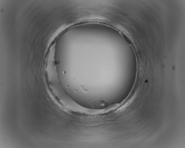 X0000067850989200604271640