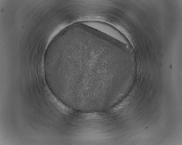 X0000067850990200604271640