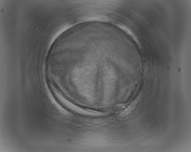 X0000067850991200604271640