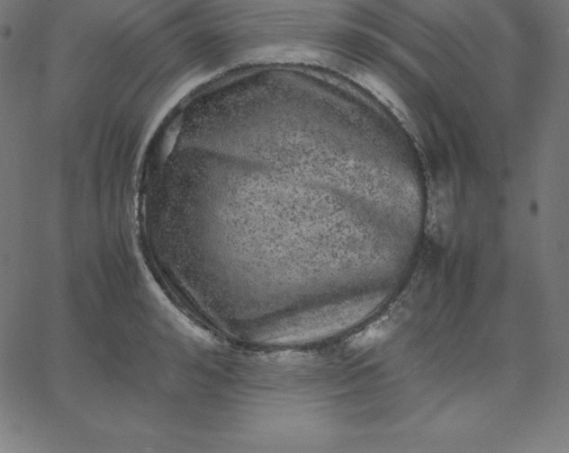 X0000067850992200604271640