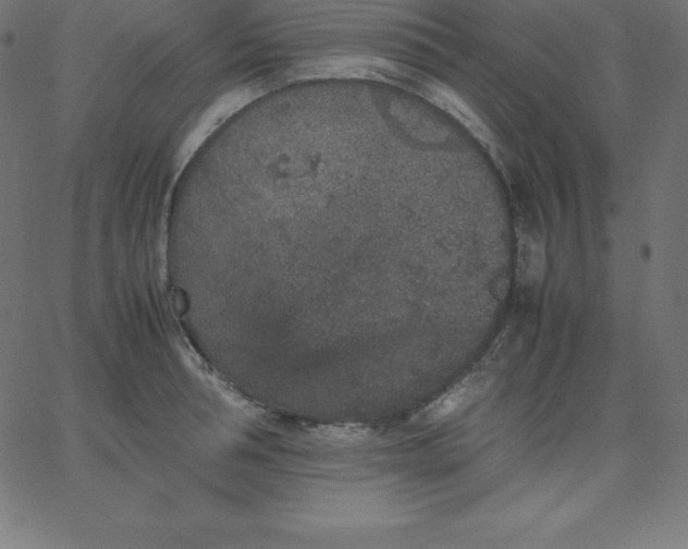 X0000067850994200604271640