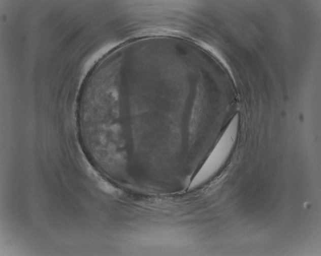 X0000067850995200604271640