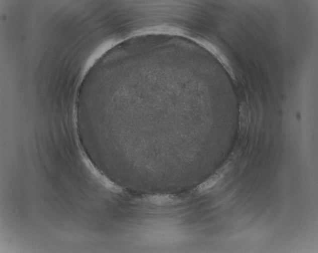 X0000067850998200604271640