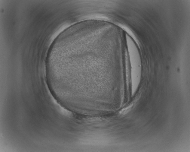 X0000067850999200604271640