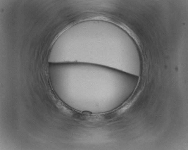 X0000067851001200604271640