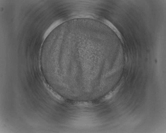 X0000067851002200604271640