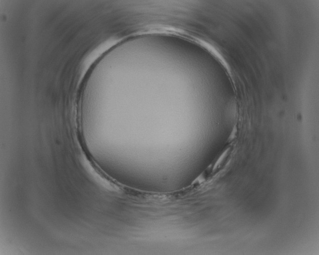 X0000067851003200604271640