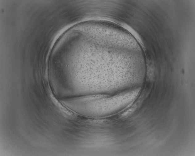 X0000067851004200604271640