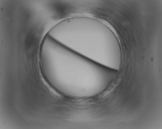 X0000067851005200604271640