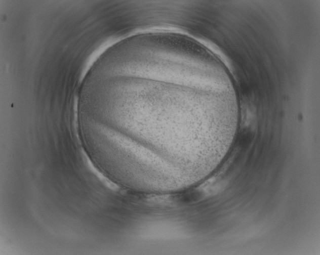 X0000067851006200604271640