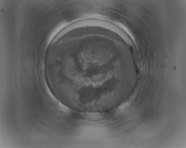 X0000067851007200604271640