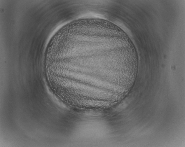 X0000067851008200604271640