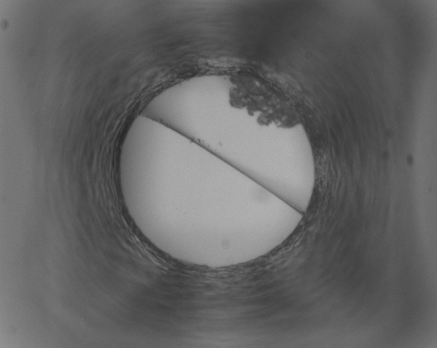 X0000067851009200604271639