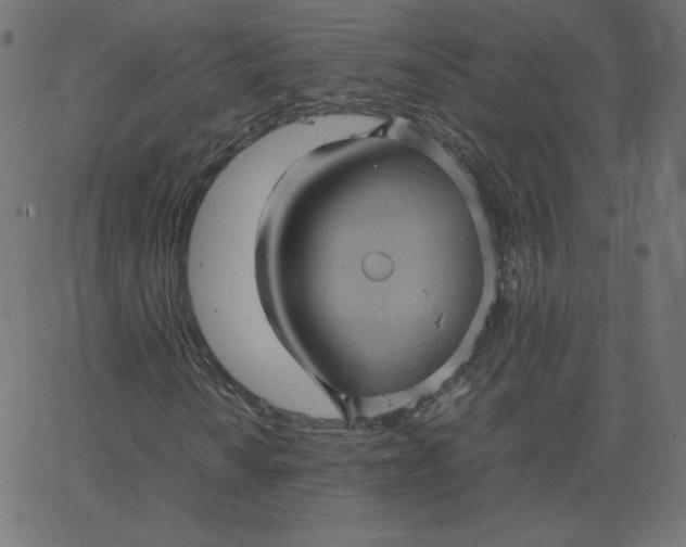 X0000067851010200604271639