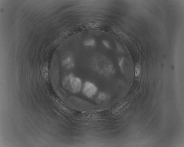 X0000067851011200604271639