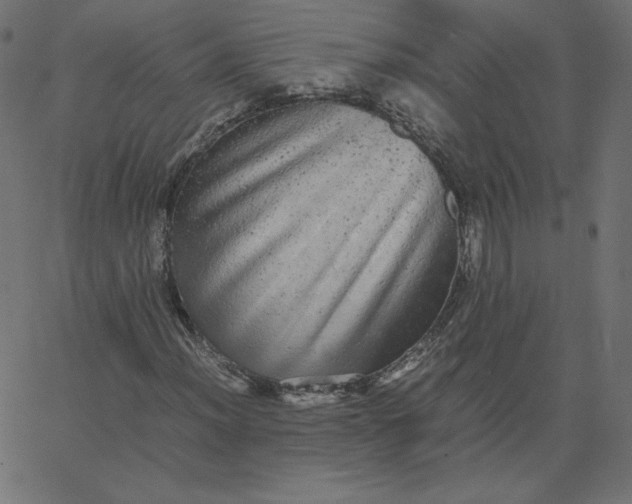 X0000067851012200604271639